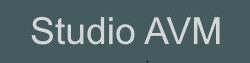 Studio AVM